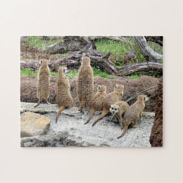 Meerkat Puzzle Pussel (Horisontell)