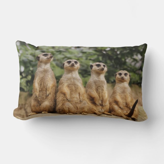 Meerkat-Quartett 001 Lumbarkudde (Framsida)