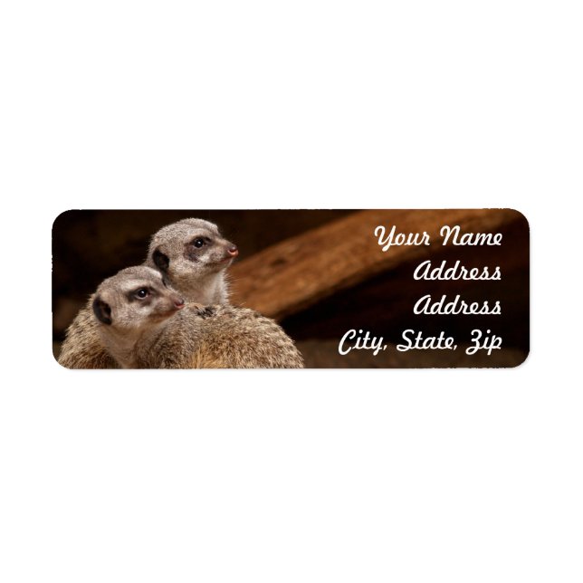 Meerkat Returadress Sticker Returadress Etikett (Framsidan)