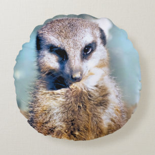 MEERKAT RUND KUDDE
