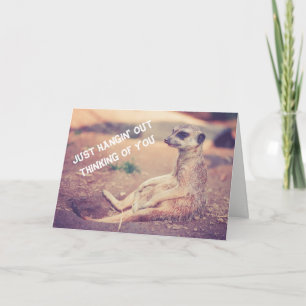 Meerkat saknad dig hälsningkort helgkort