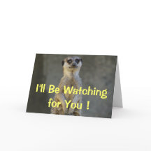 Meerkat saknar ditt kort