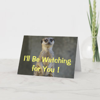 Meerkat saknar ditt kort