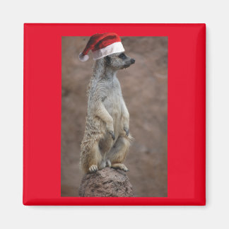 Meerkat-Santa Magnet