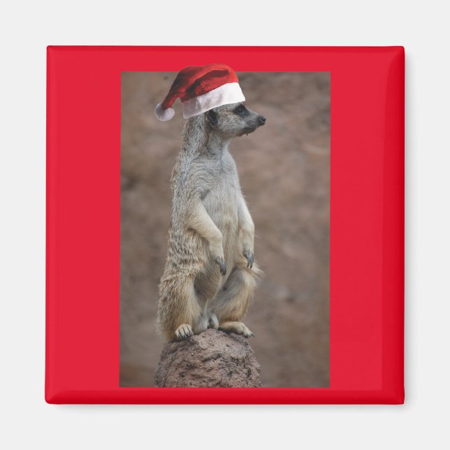 Meerkat-Santa Magnet (Framsidan)