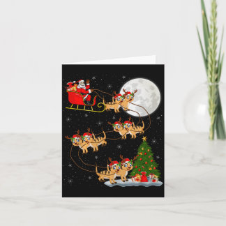 Meerkat Santa släde flygande rolig magisk jul Kort