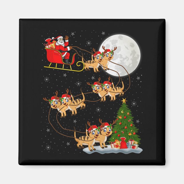 Meerkat Santa släde flygande rolig magisk jul Magnet (Framsidan)