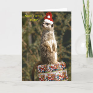 Meerkat Santas lite hjälpredakort Helgkort