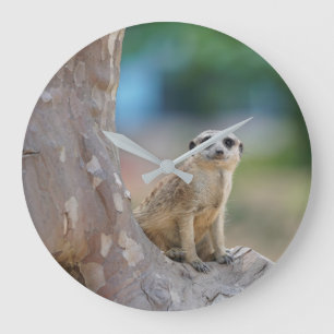 Meerkat Sat på träd Stor Klocka