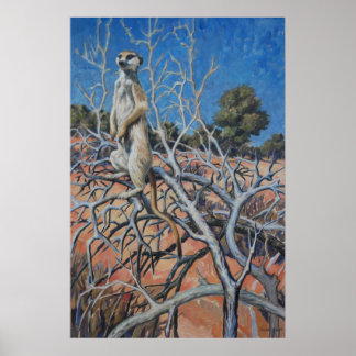 Meerkat sentinel - Art print Poster