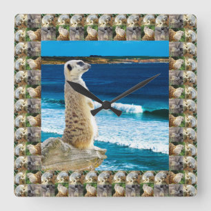 Meerkat Sentry som fiskar efter fisk vid stranden, Fyrkantig Klocka