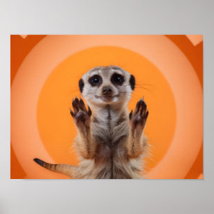 Meerkat Skapar Stop Hand Gesture Poster