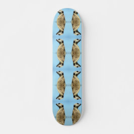 Meerkat Skateboard