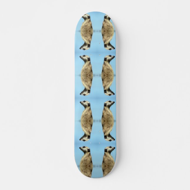 Meerkat Skateboard (Framsida)