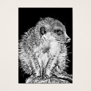 Meerkat som är svartvit visitkort