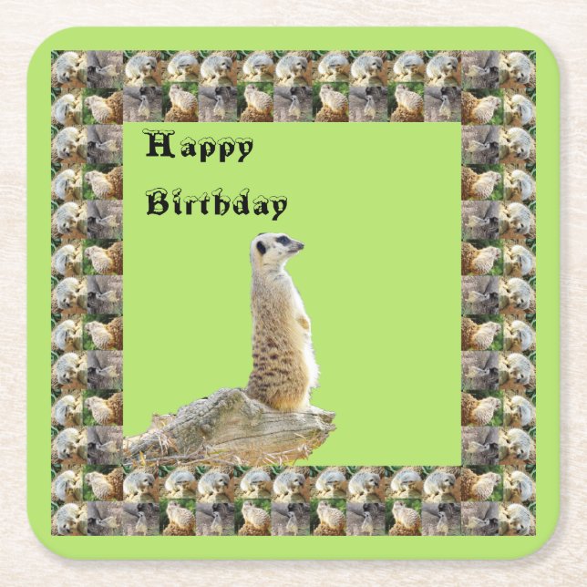Meerkat Square Birthday Papper Underlägg (Framsidan)