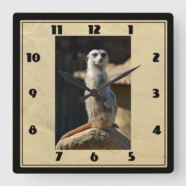 Meerkat Square Clock Fyrkantig Klocka (Framsida)