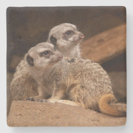 Meerkat Square underlägg