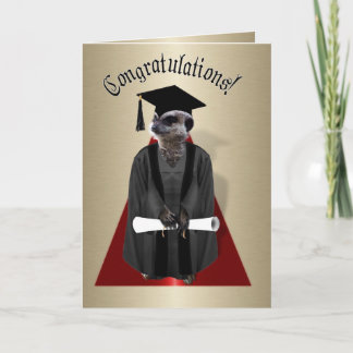 Meerkat Student Kort