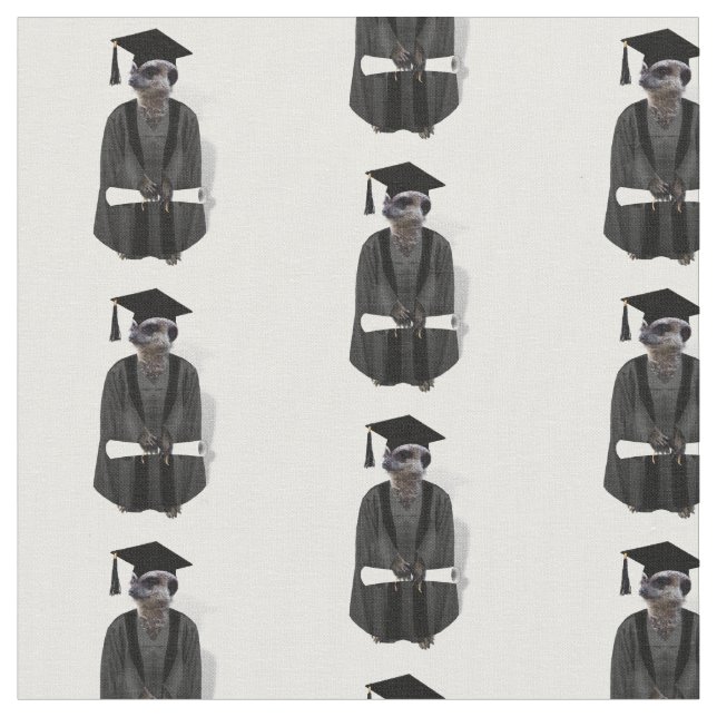 Meerkat Student med diploma Tyg (Närbild)