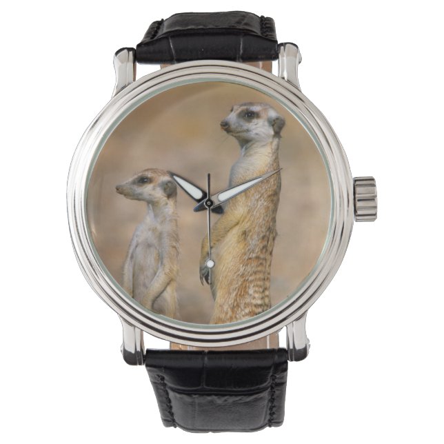 Meerkat (Suricata Suricatta) vaktposter, Karas Armbandsur (Framsida)