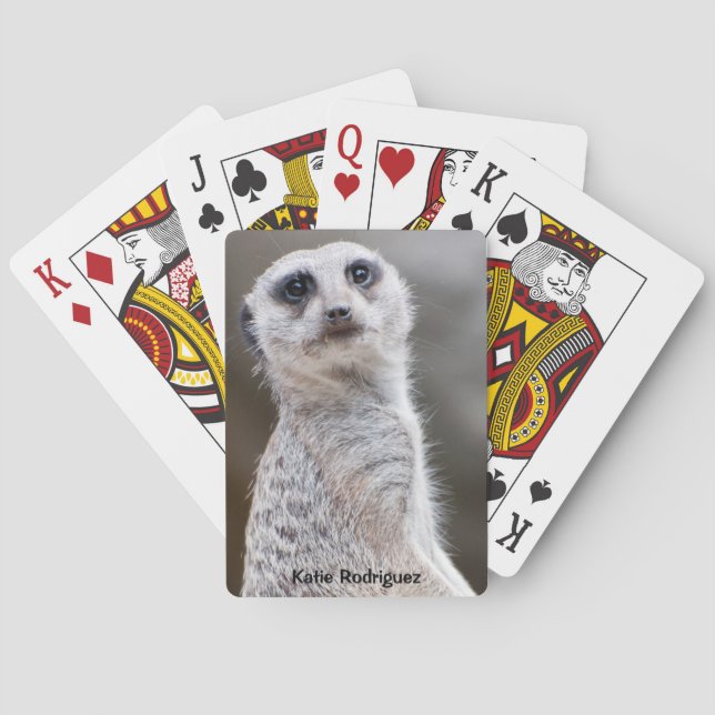 Meerkat Tittar dig Casinokort (Baksidan)
