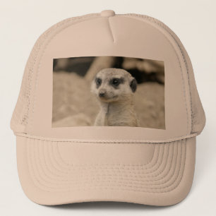 Meerkat Truckerkeps