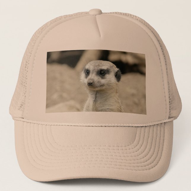 Meerkat Truckerkeps (Framsida)
