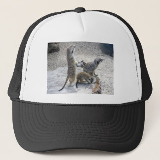 Meerkat Truckerkeps