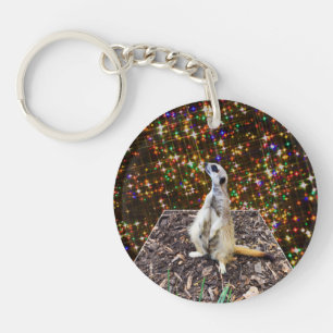 Meerkat Twinkle Stars