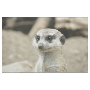 Meerkat Tyg