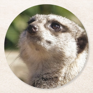 MEERKAT UNDERLÄGG PAPPER RUND