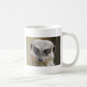 Meerkat upp slut kaffemugg