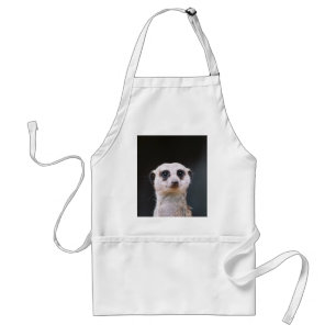 Meerkat utkik förkläde