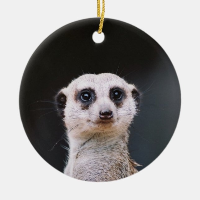 Meerkat utkikprydnad julgransprydnad keramik (Framsidan)