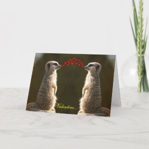 Meerkat Valentine Card 003 Helgkort