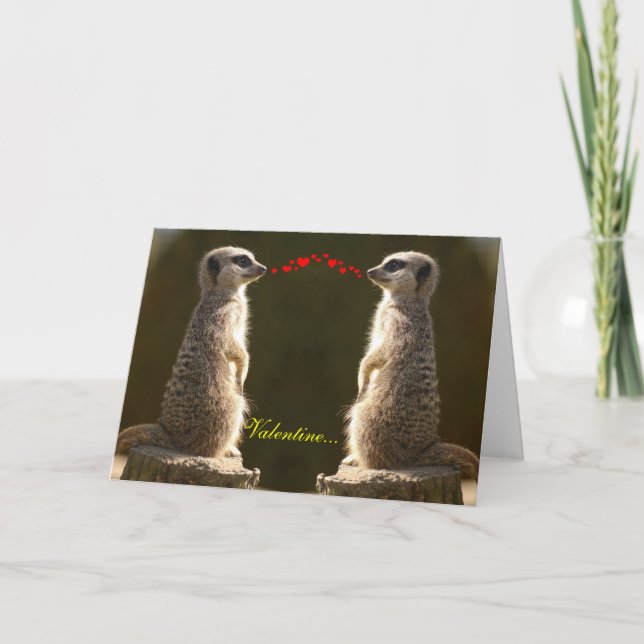 Meerkat Valentine Card 004 Helgkort (Framsida)