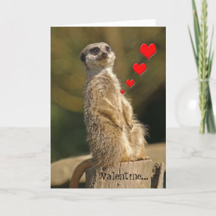 Meerkat Valentine Card 007 Helgkort