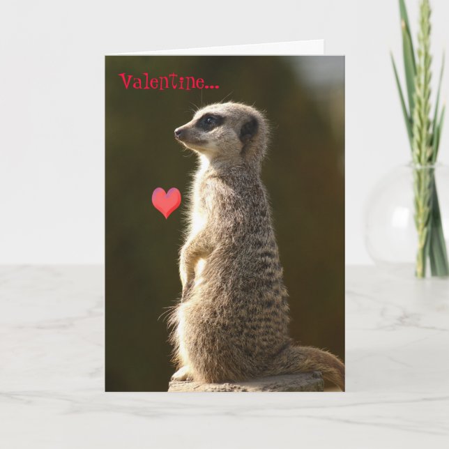 Meerkat valentinkort 005 helgkort (Framsida)