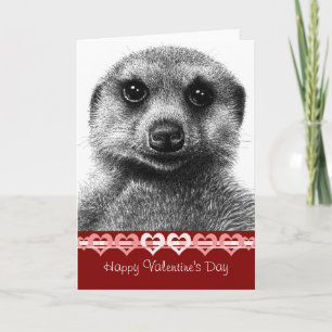Meerkat valentinkort helgkort