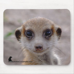 Meerkat valp Mousepad Musmatta