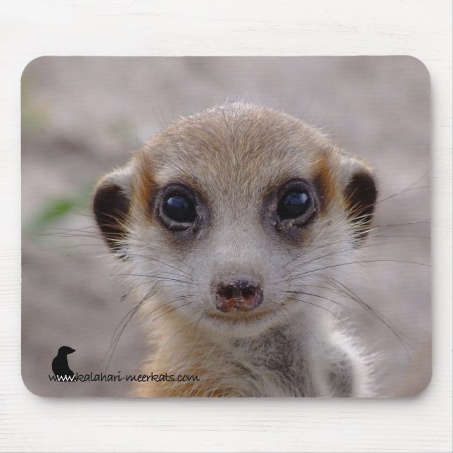 Meerkat valp Mousepad Musmatta (Framsidan)