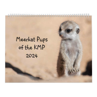 Meerkat-Valper från KMP 2024 Kalender