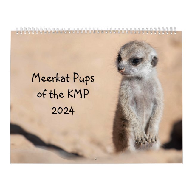 Meerkat-Valper från KMP 2024 Kalender (Omslag)