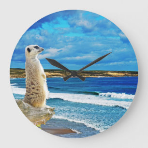 Meerkat vid stranden, stor klocka