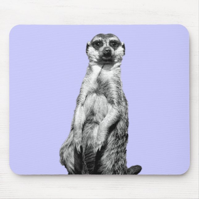 Meerkat vintergrönabakgrund musmatta (Framsidan)