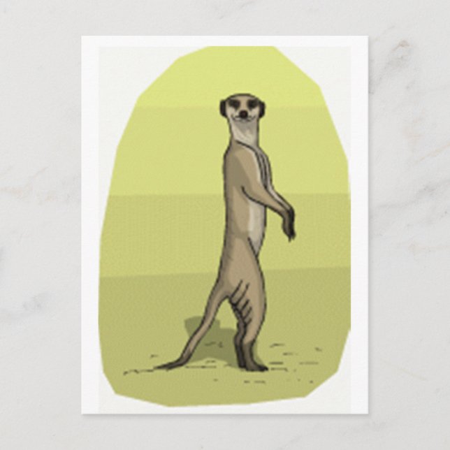 MEERKAT VYKORT (Framsida)