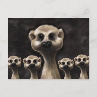 Meerkat-vykort Vykort