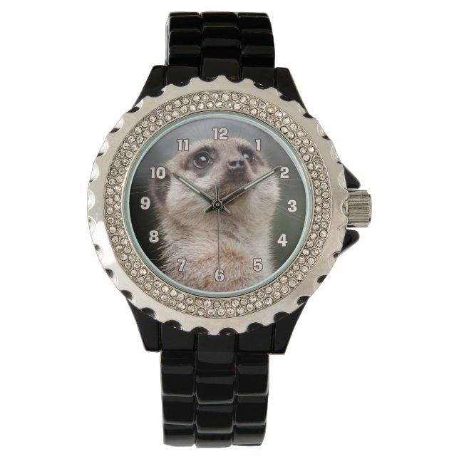 Meerkat Watch Armbandsur (Framsida)