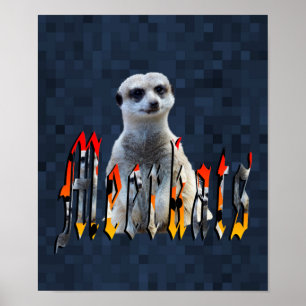 Meerkat with Meerkats Logotyp Poster